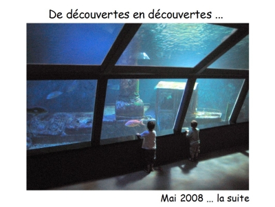 200805-ReportageReunion2.pdf